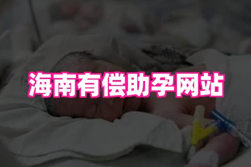 gfg孕网 1