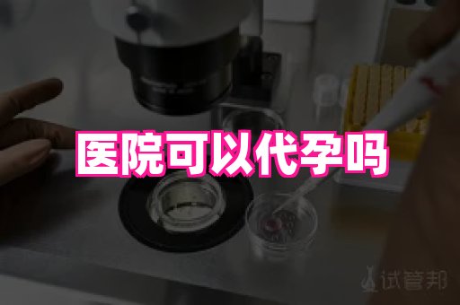 gfg孕网 4
